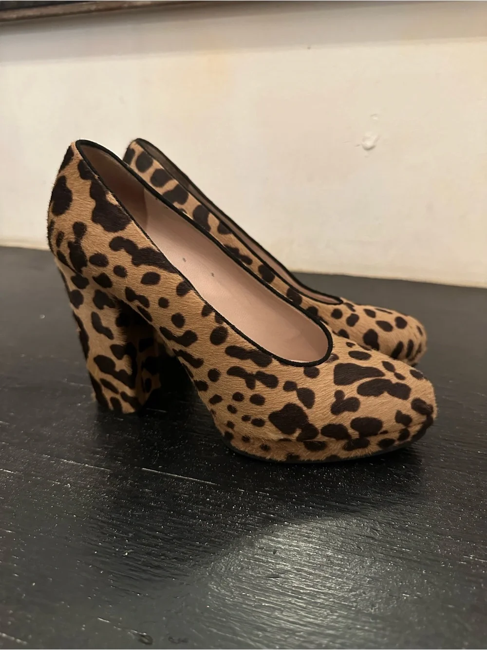Miu Miu Leopard Print Calf Hair Pumps in Tan and Black